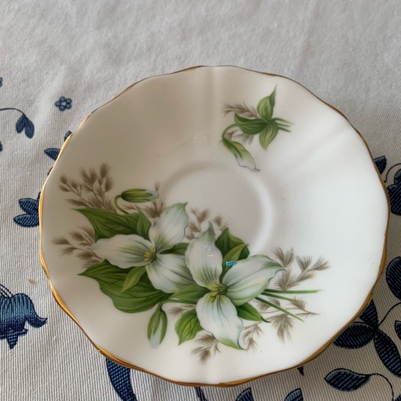 royal addreyley Other - Elegant Floral Saucer with Gold Trim